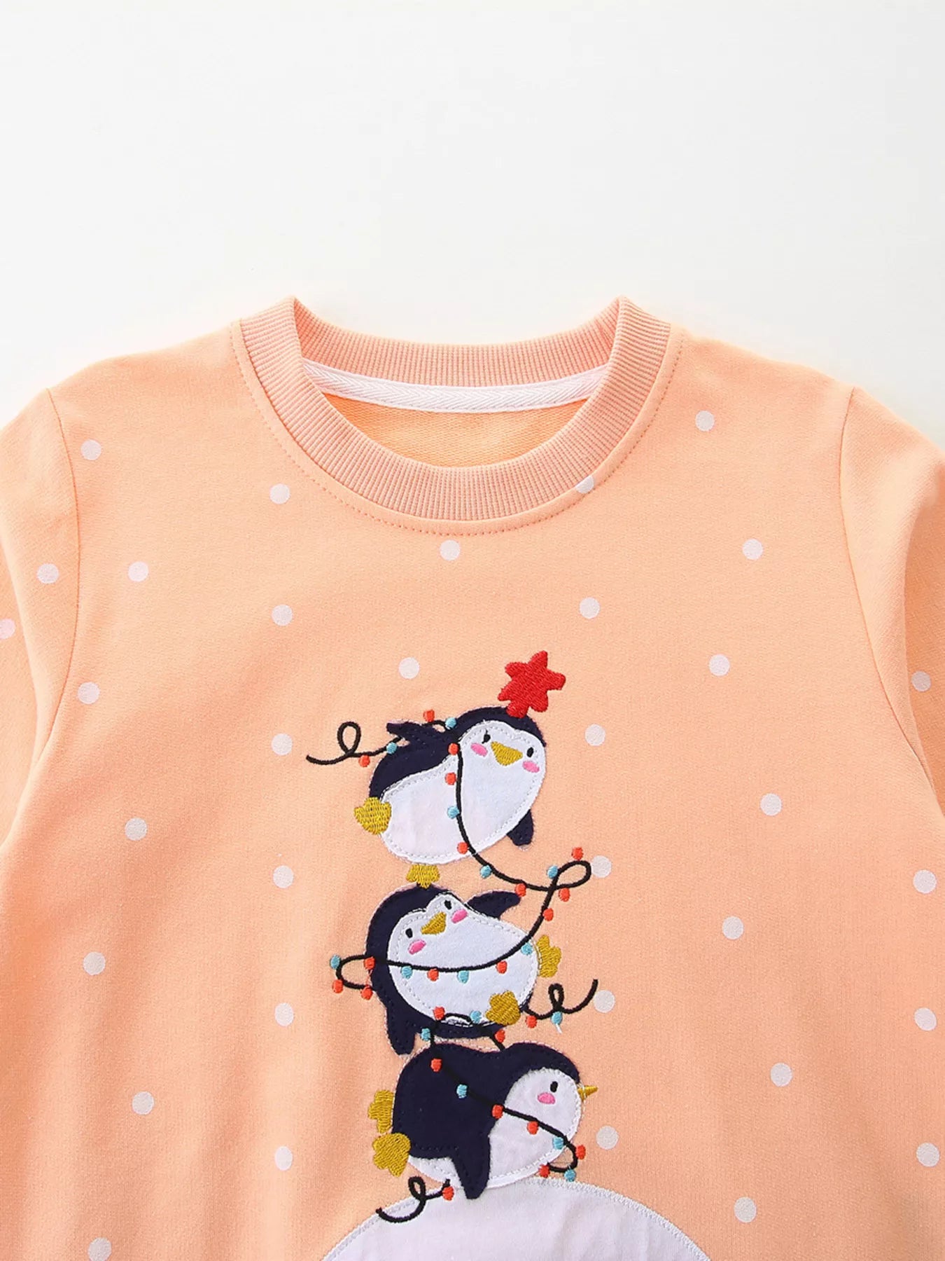 Children's Penguin Round Neck Sweatshirt - PBNJ FASHIONS