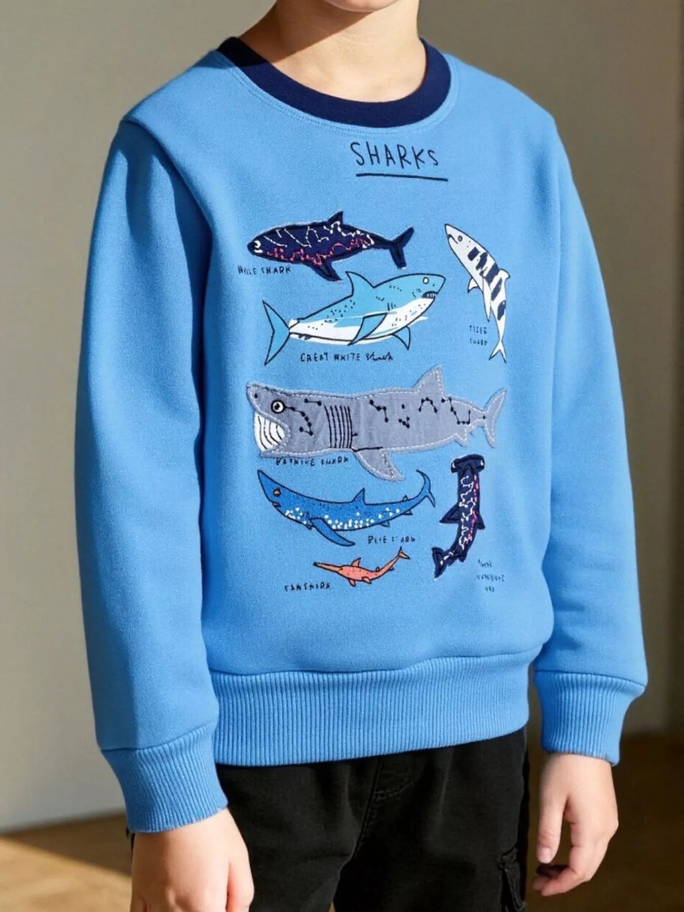 Children's Shark Print Crew Neck Sweatshirt - PBNJ FASHIONS