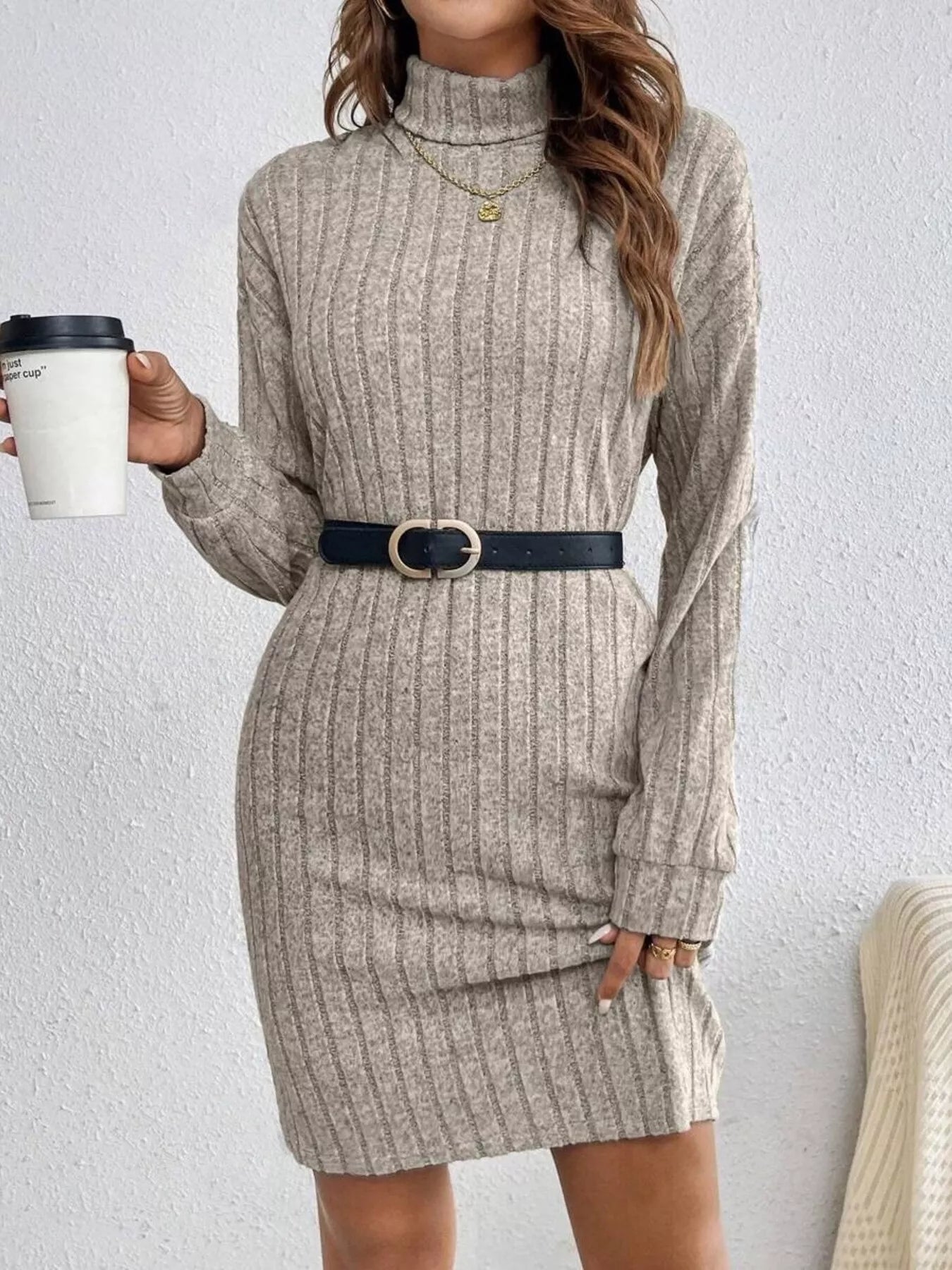 Ribbed Knit Turtleneck Mini Dress - PBNJ FASHIONS