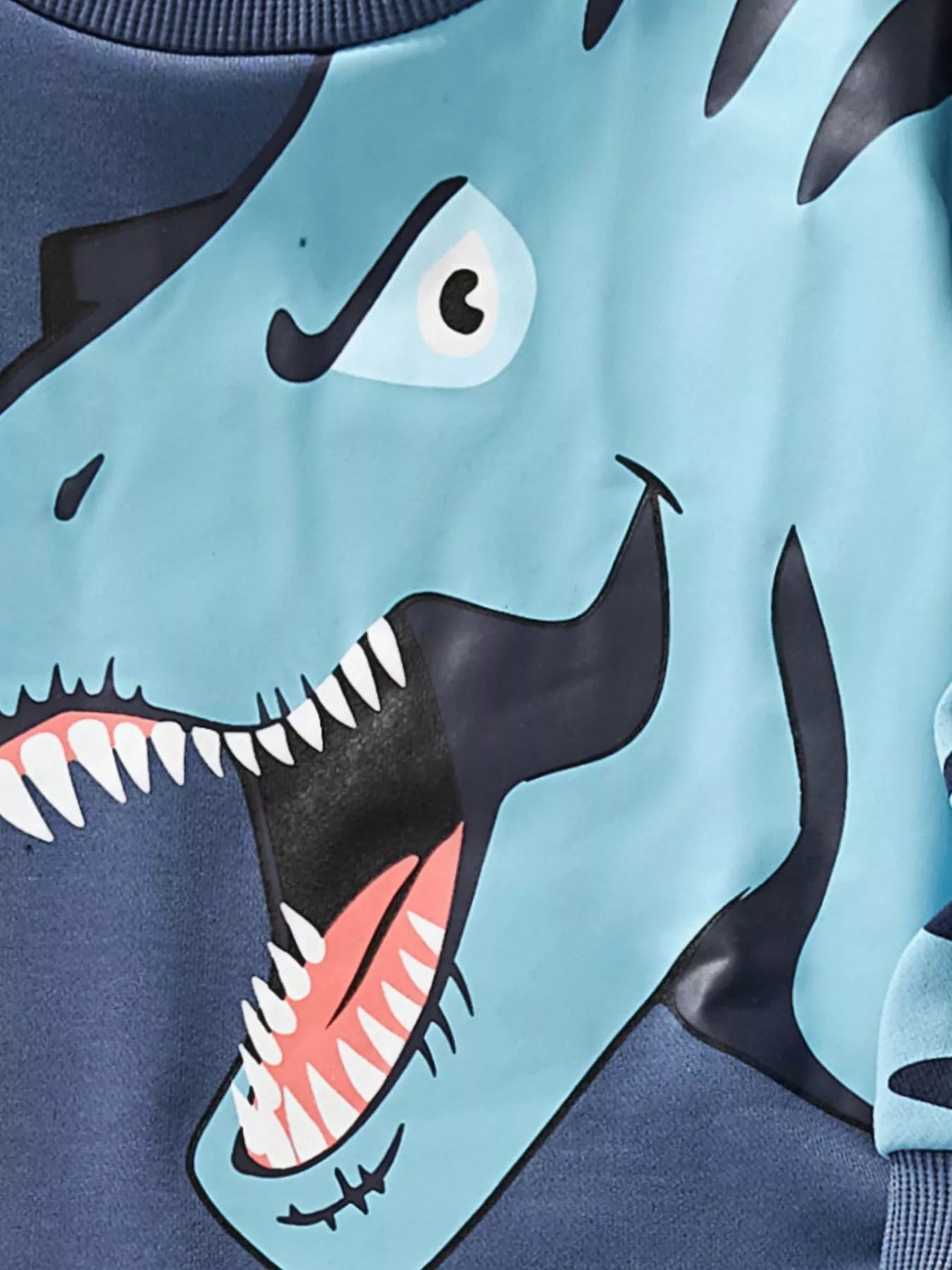 Children's Dinosaur Print Long Sleeve Sweatshirt & Pants Set - PBNJ FASHIONS