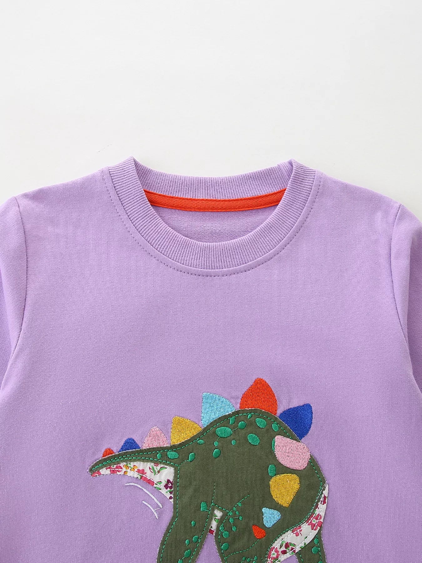 Children's Dinosaur Graphic Round Neck Sweatshirt - PBNJ FASHIONS