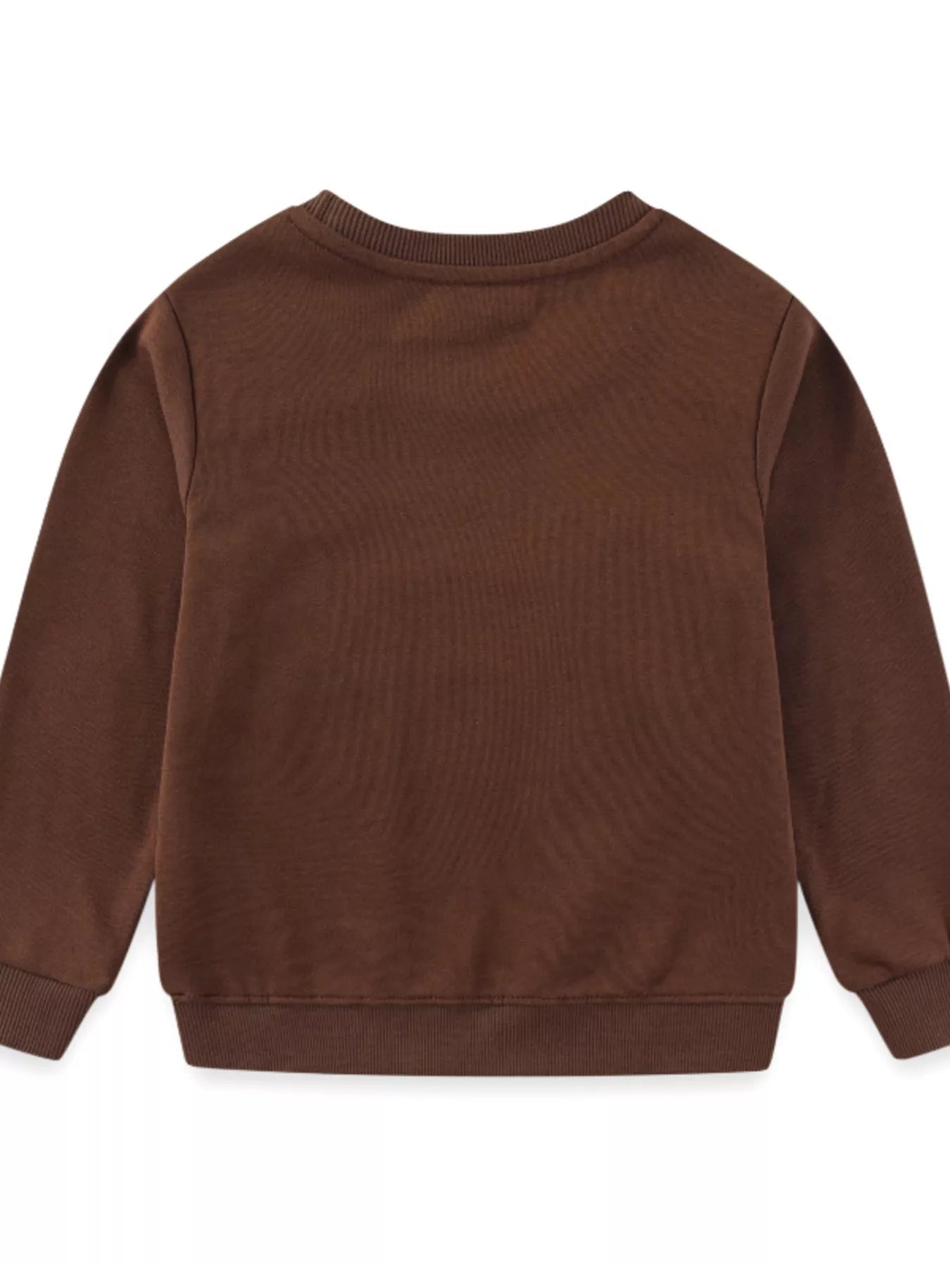Children's Dinosaur Embroidered Crew Neck Sweatshirt - PBNJ FASHIONS