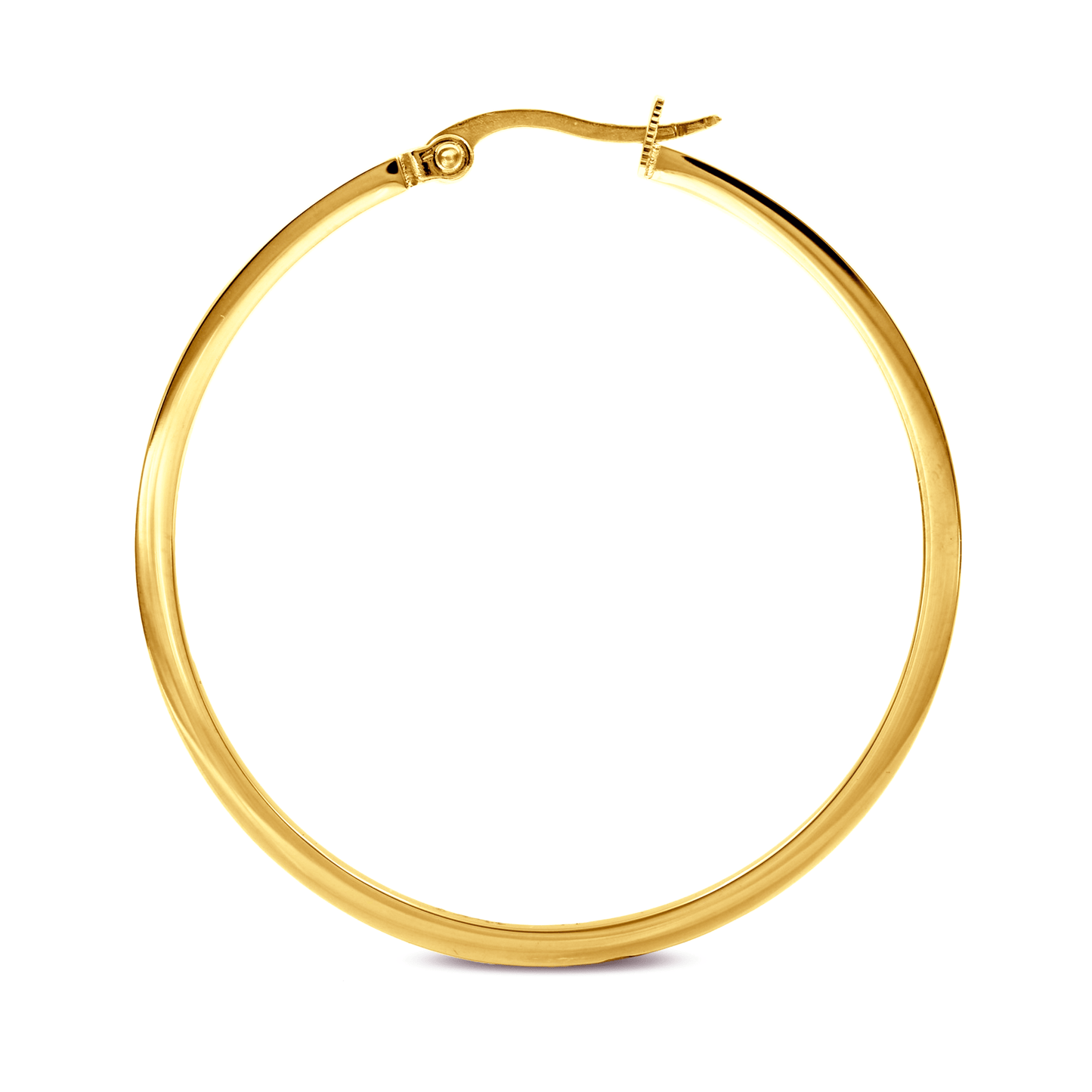 ER317G B.Tiff Gold Pavé 58 - Stone Classic Large Hoop Earrings - PBNJ FASHIONS