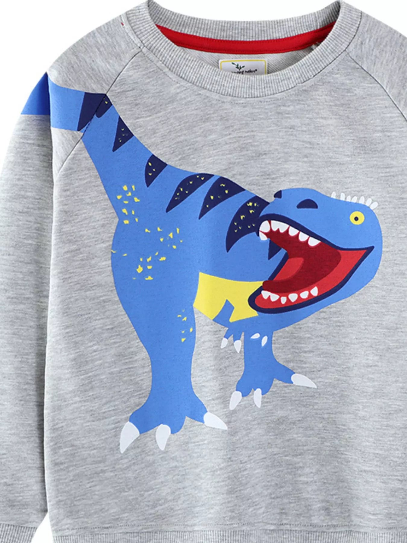 Children's Dinosaur Crew Neck Sweatshirt - PBNJ FASHIONS