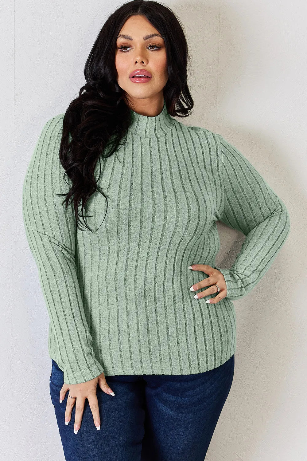 Basic Bae Full Size Ribbed Mock Neck Long Sleeve T-Shirt - PBNJ FASHIONS