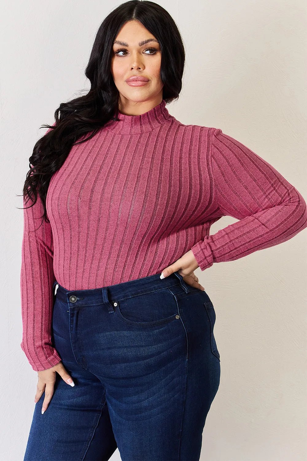 Basic Bae Full Size Ribbed Mock Neck Long Sleeve T-Shirt - PBNJ FASHIONS