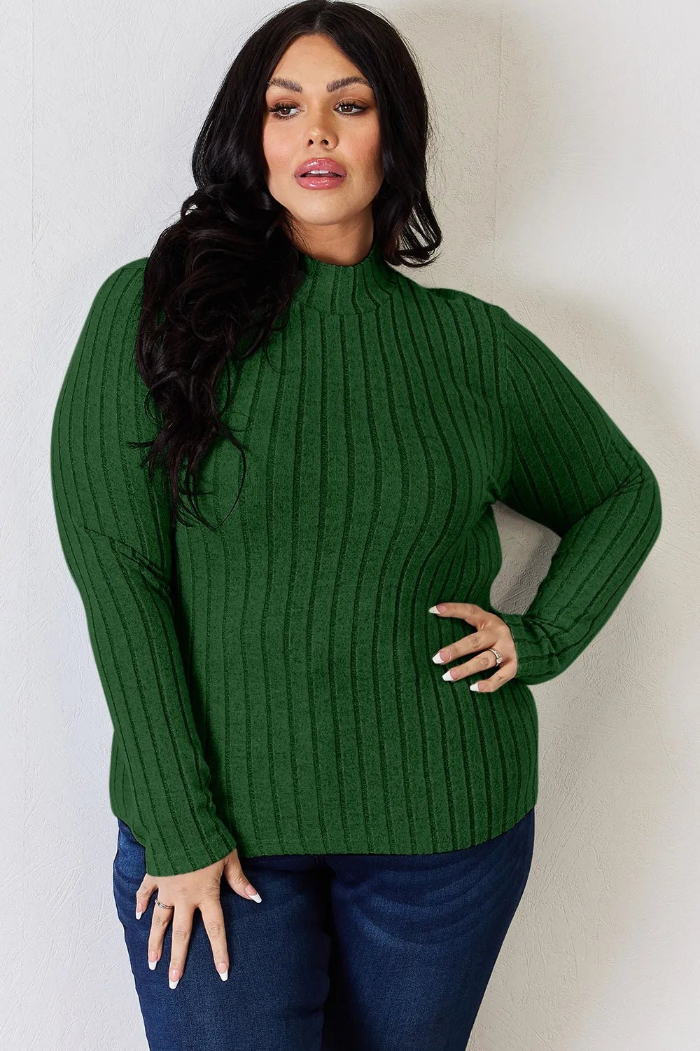 Basic Bae Full Size Ribbed Mock Neck Long Sleeve T-Shirt - PBNJ FASHIONS