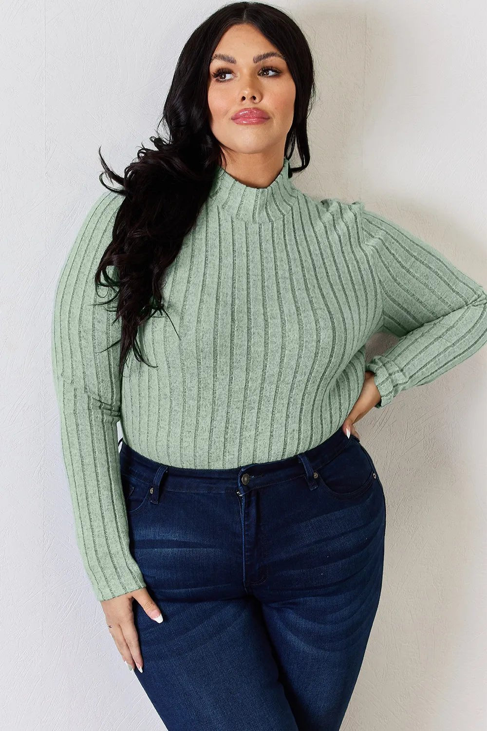 Basic Bae Full Size Ribbed Mock Neck Long Sleeve T-Shirt - PBNJ FASHIONS