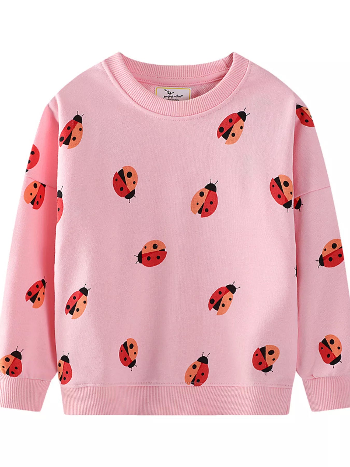 Children's Ladybug Print Crew Neck Sweatshirt - PBNJ FASHIONS