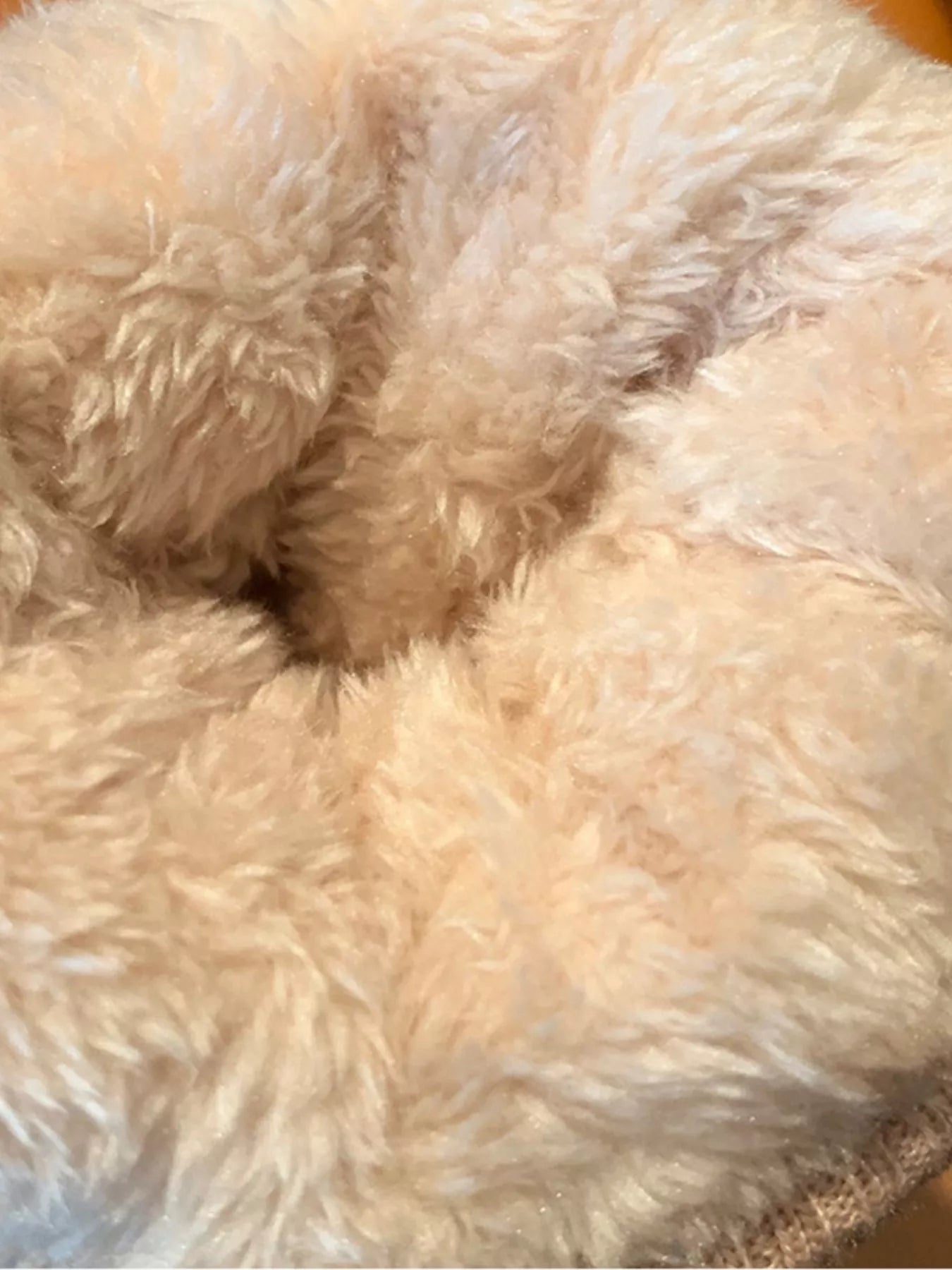 Bear Patterned Winter Gloves - PBNJ FASHIONS