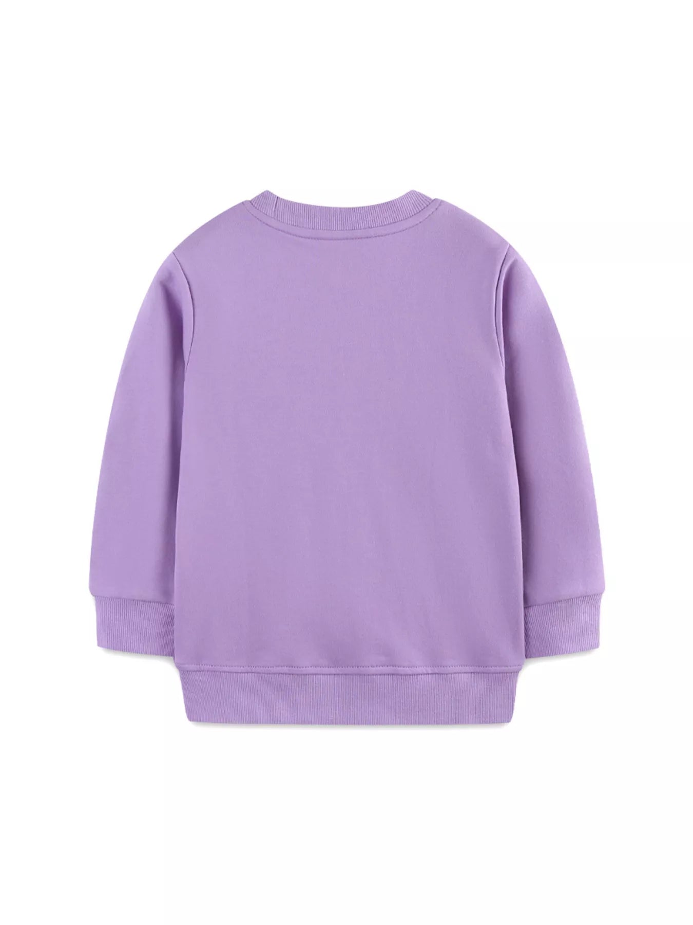 Children's Dinosaur Graphic Round Neck Sweatshirt - PBNJ FASHIONS