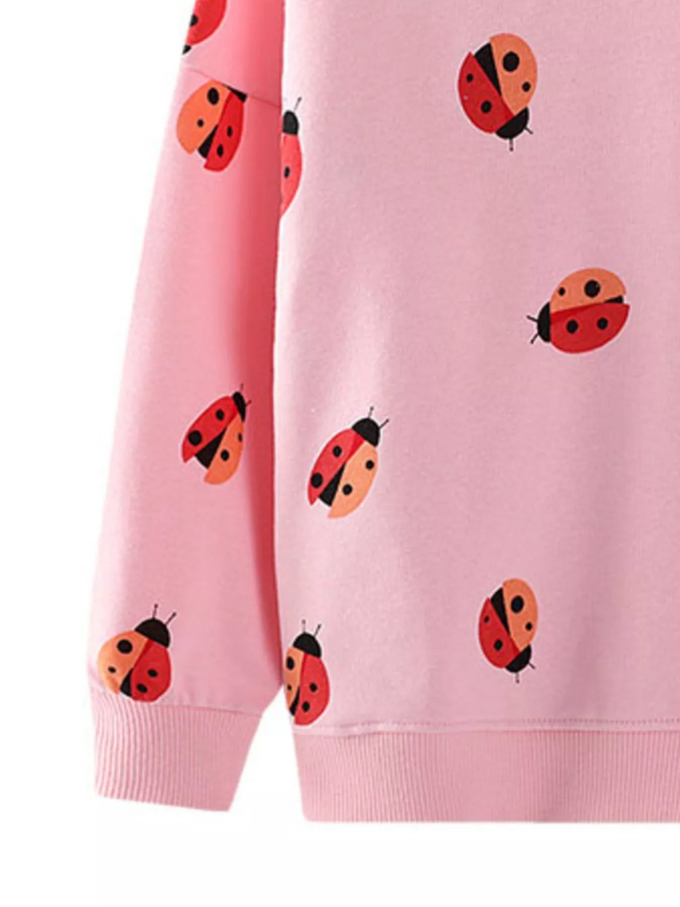 Children's Ladybug Print Crew Neck Sweatshirt - PBNJ FASHIONS