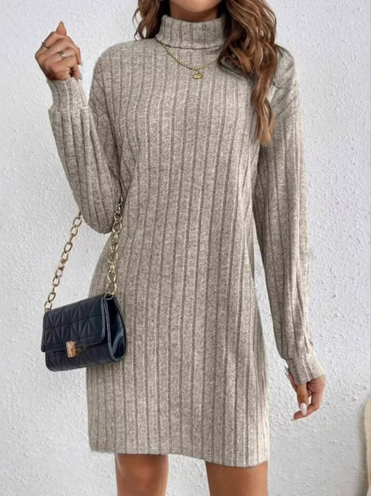 Ribbed Knit Turtleneck Mini Dress - PBNJ FASHIONS