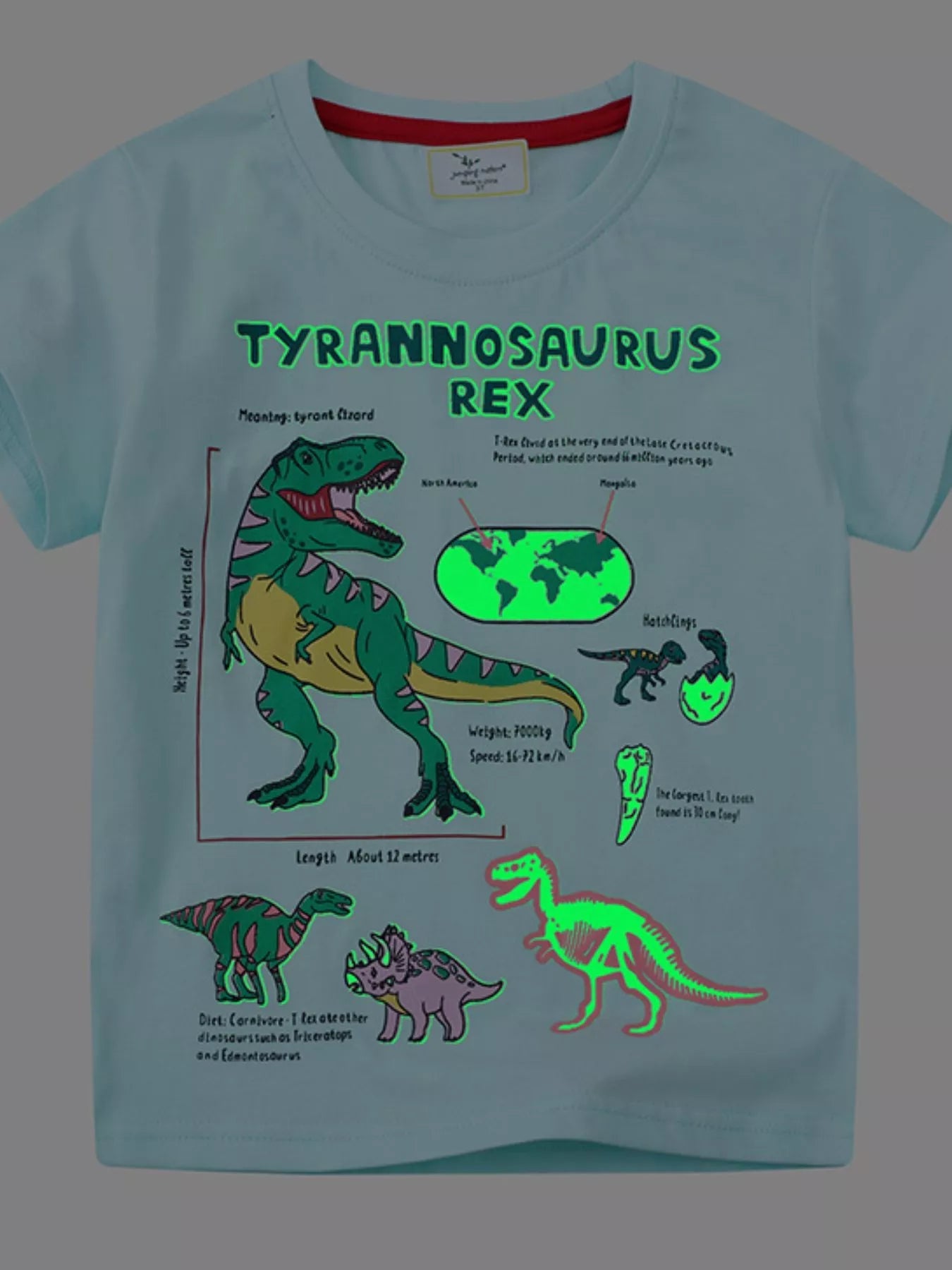 Children's Dinosaur Graphic Short Sleeve T-Shirt - PBNJ FASHIONS