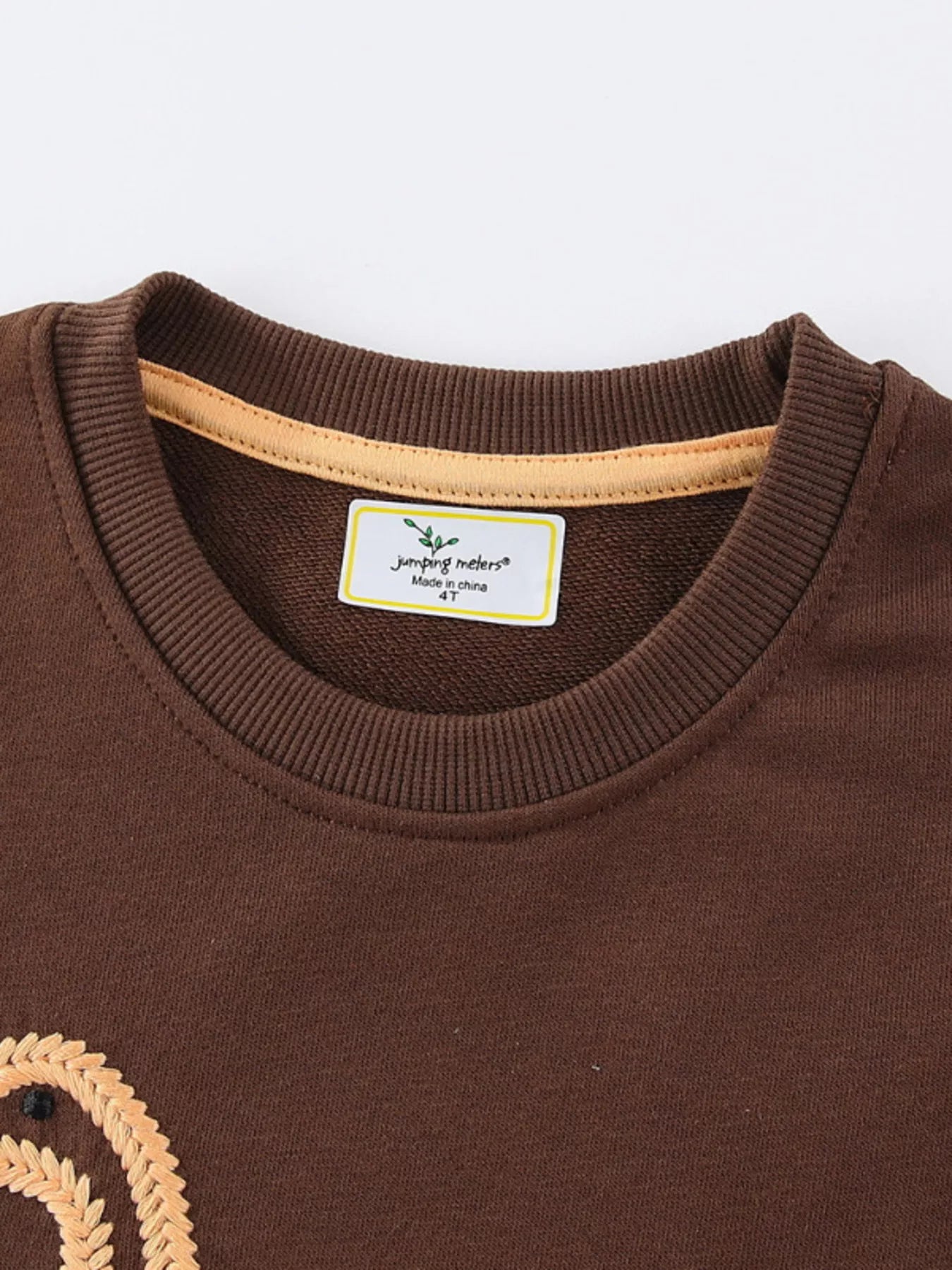 Children's Dinosaur Embroidered Crew Neck Sweatshirt - PBNJ FASHIONS