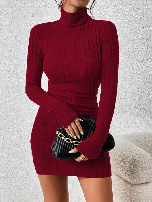 Turtleneck Ribbed Bodycon Knit Dress - PBNJ FASHIONS